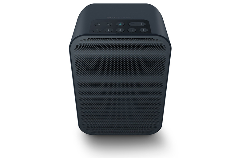 Bluesound Pulse Flex 2i – Altoparlante Wireless Portatile Wi-Fi E Bluetooth – Nero