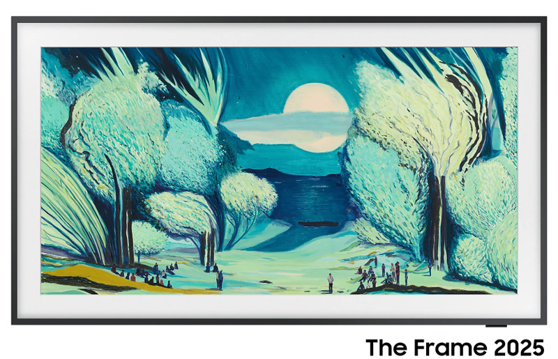 THE FRAME TQ43LS03FAUXXC