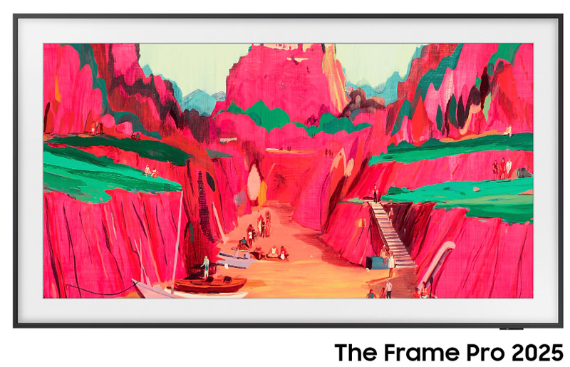 THE FRAME PRO TQ65LS03F